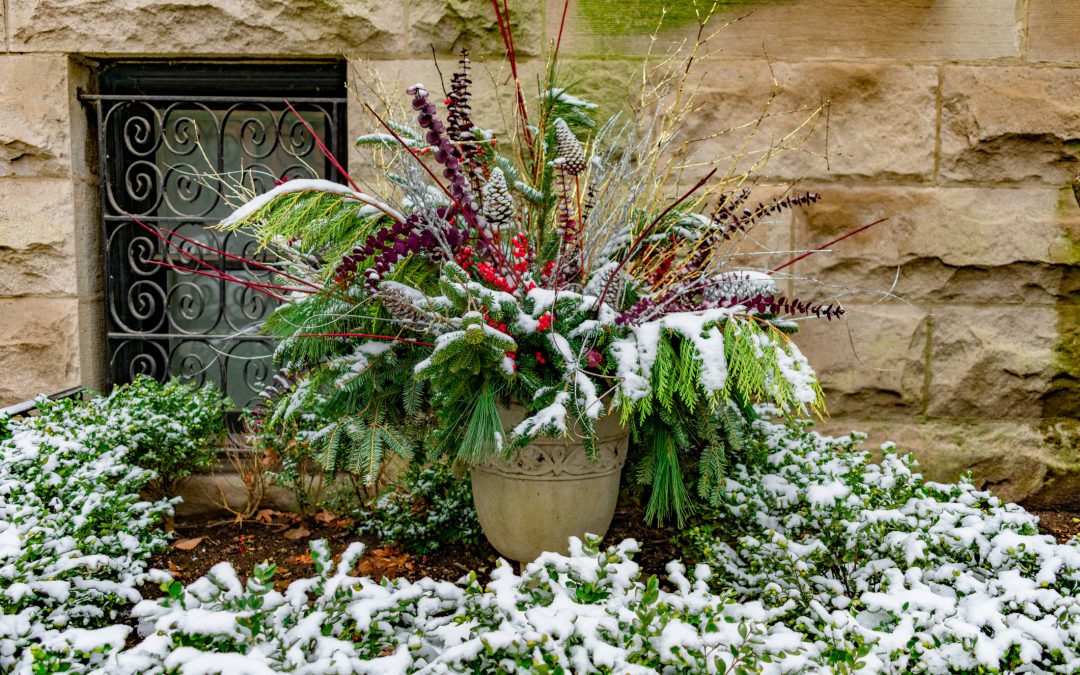 Frohe Weihnachten & ein grünes neues Jahr!
